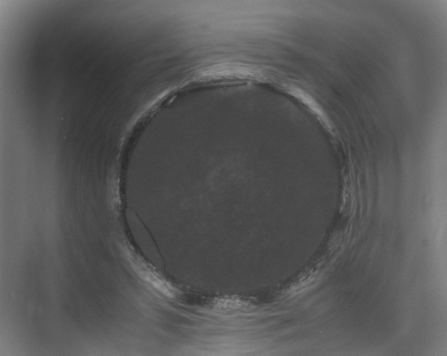 X0000075840399200609151310