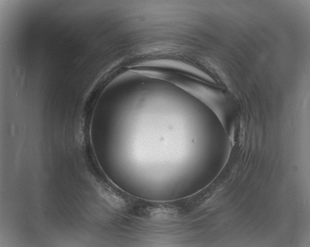 X0000075840400200609151310