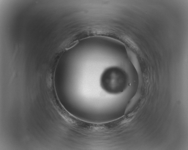 X0000075840401200609151310