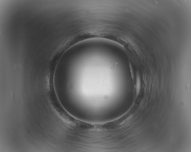 X0000075840404200609151310