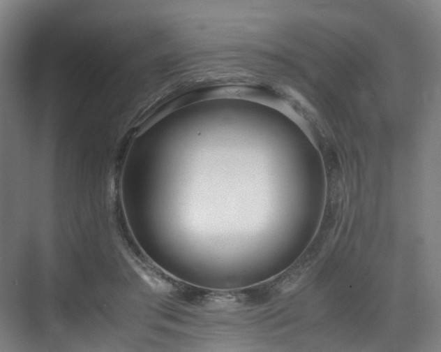 X0000075840405200609151310