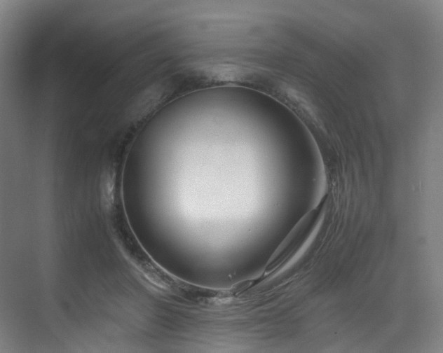 X0000075840406200609151310