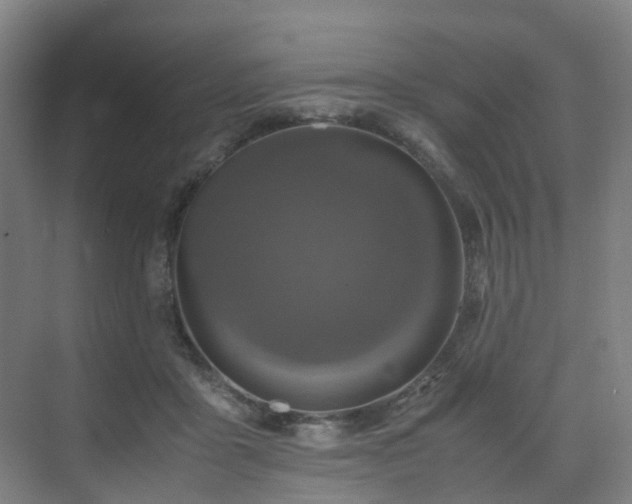 X0000075840411200609151309