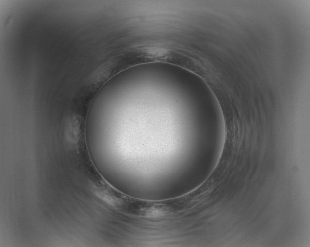 X0000075840412200609151309