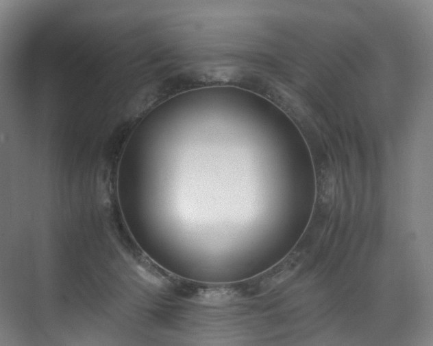 X0000075840414200609151309