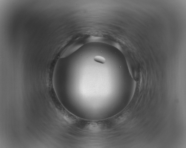 X0000075840416200609151309