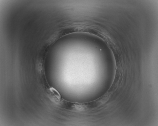 X0000075840417200609151309