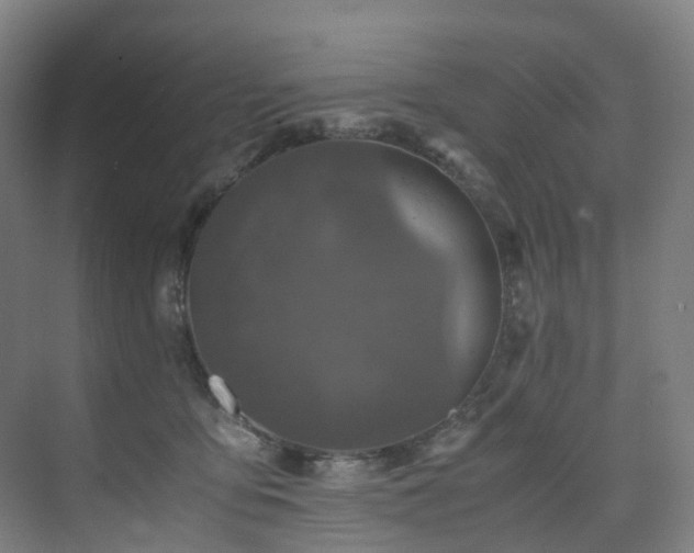 X0000075840419200609151309