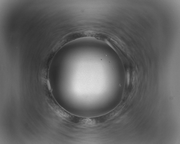 X0000075840421200609151309