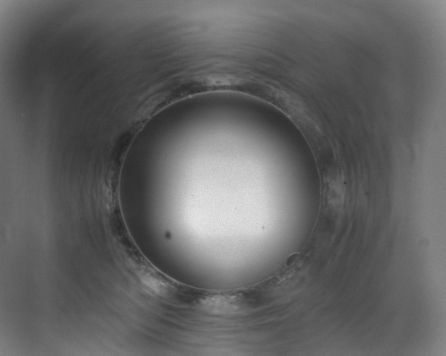 X0000075840422200609151309