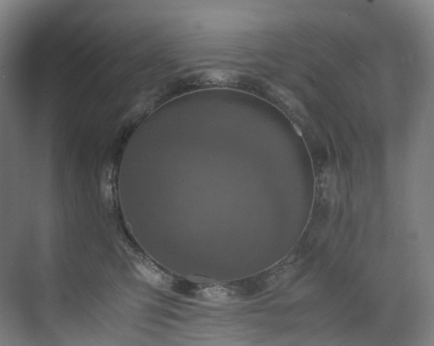 X0000075840423200609151309