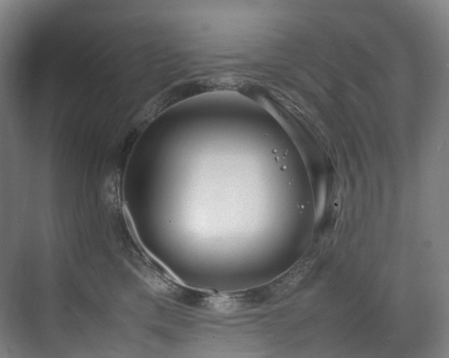 X0000075840425200609151309