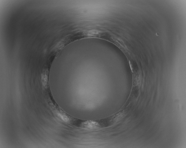 X0000075840427200609151309