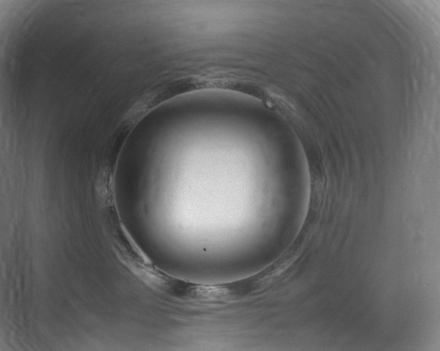 X0000075840429200609151309