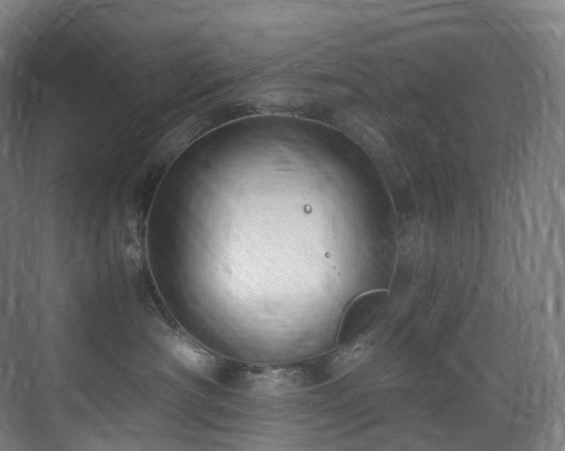 X0000075840430200609151309