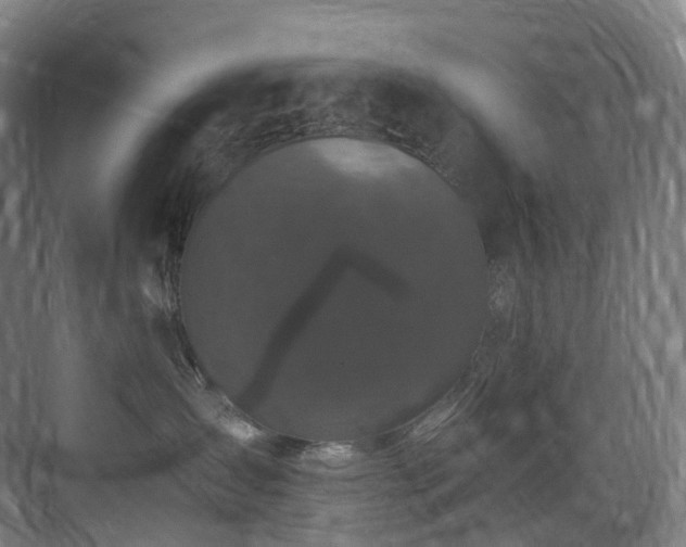 X0000075840431200609151309