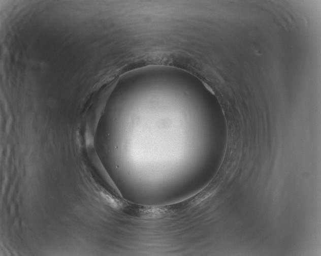 X0000075840432200609151309