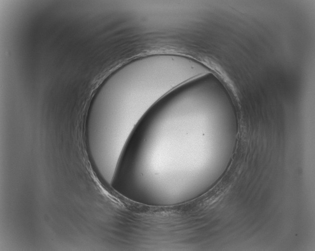 X0000075840433200609151308