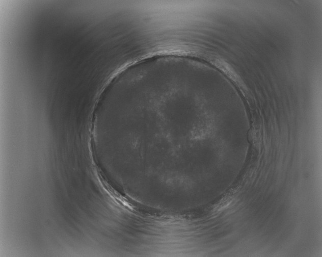 X0000075840434200609151308