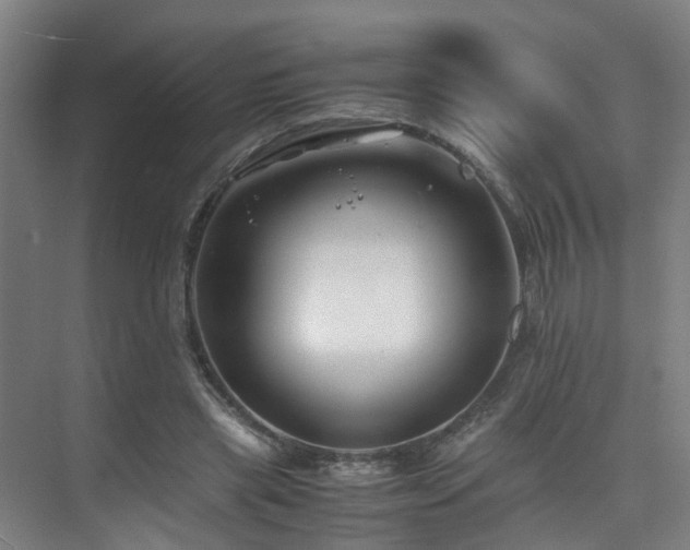 X0000075840445200609151309