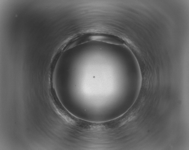 X0000075840446200609151309