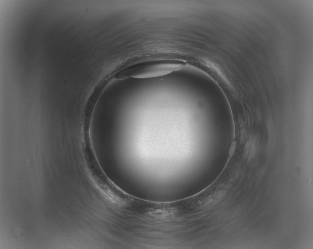 X0000075840447200609151309