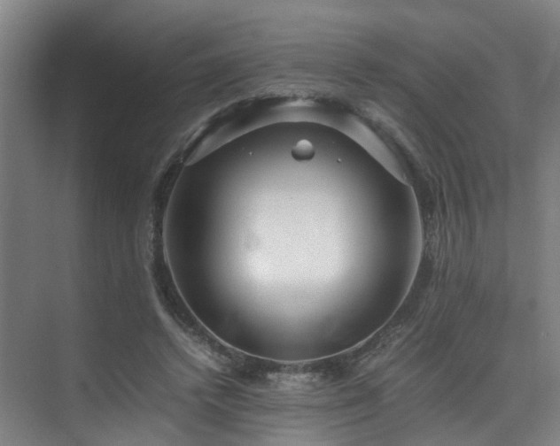 X0000075840448200609151309