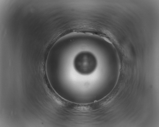 X0000075840449200609151309