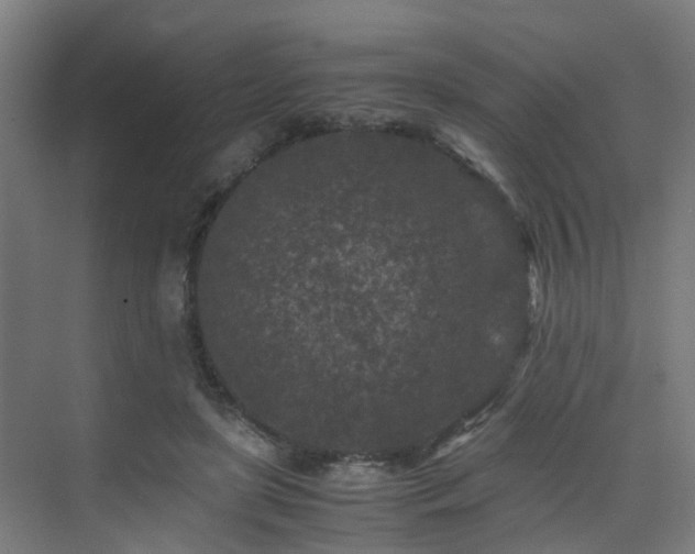 X0000075840451200609151309