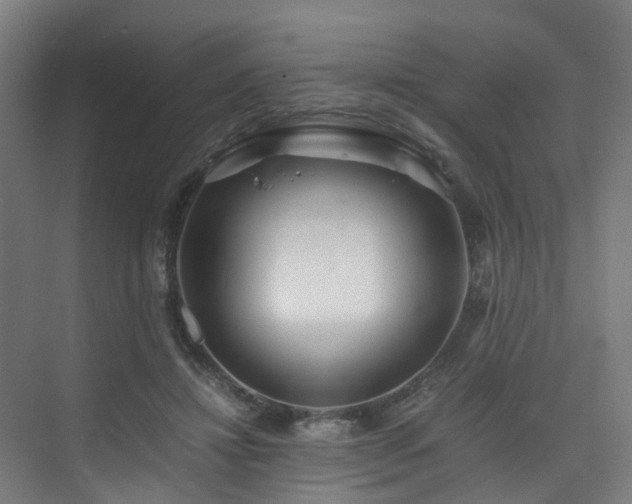 X0000075840452200609151309