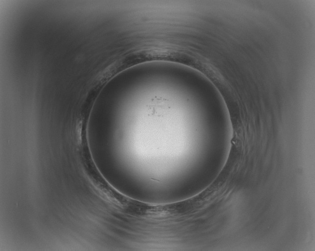 X0000075840454200609151309