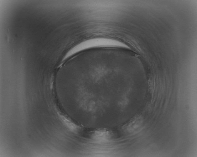 X0000075840458200609151309