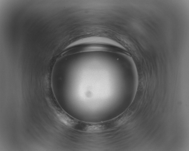 X0000075840461200609151309