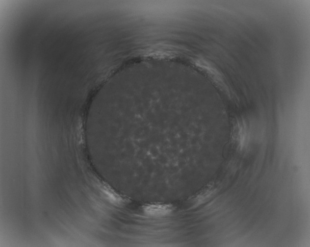 X0000075840465200609151309