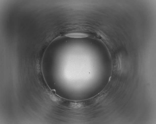 X0000075840469200609151309