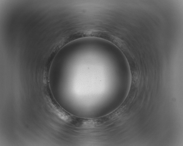 X0000075840470200609151309