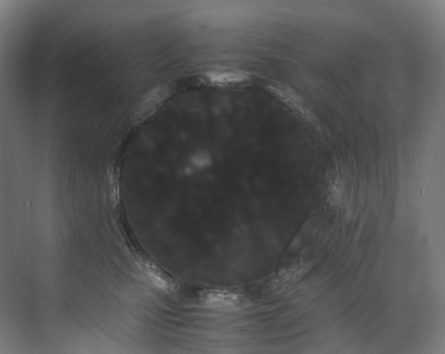 X0000075840471200609151309