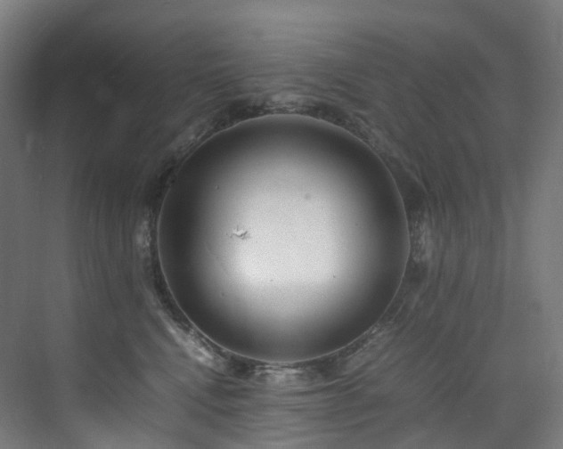 X0000075840472200609151309