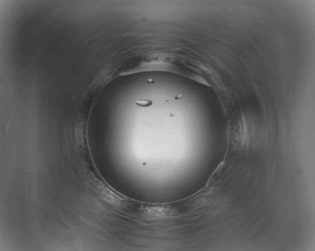 X0000075840473200609151309