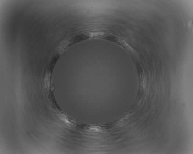 X0000075840475200609151309