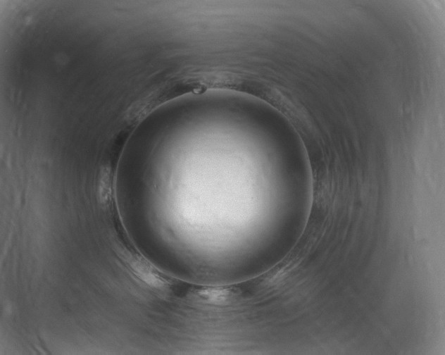 X0000075840478200609151309