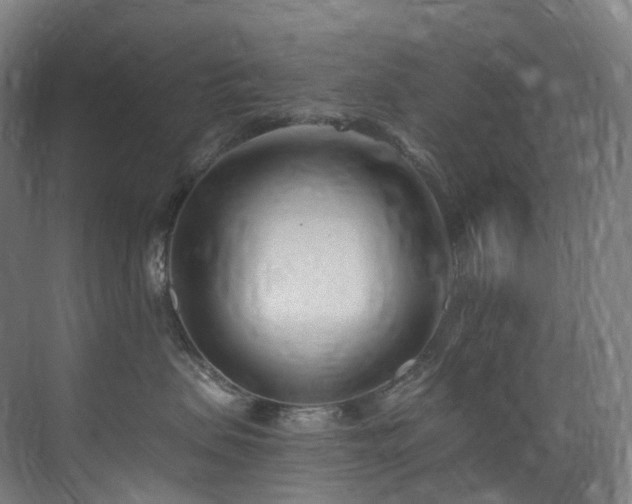 X0000075840479200609151309