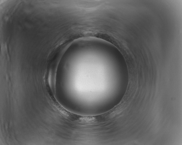 X0000075840480200609151309