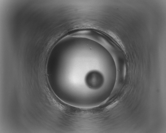 X0000075840481200609151308