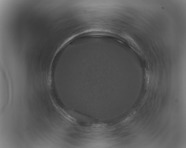 X0000075840484200609151308