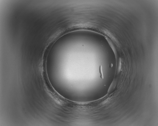 X0000075840486200609151308