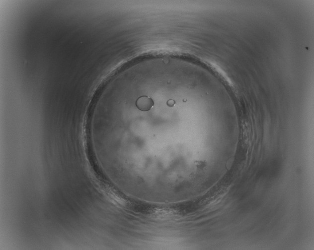 X0000075840487200609151308