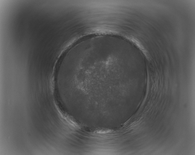 X0000075840488200609151308