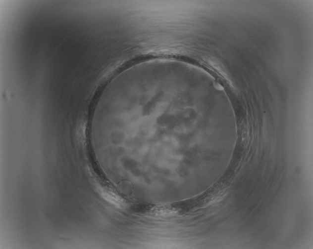 X0000075840491200609151308