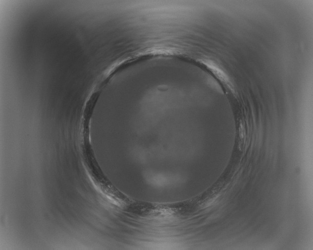 X0000075840492200609151308